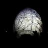 EGG 03