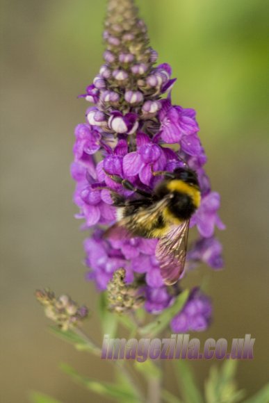 IMG_1198