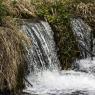 IMG_6843