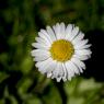 IMG_7340