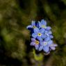 IMG_7425