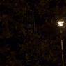 IMG_7637_1